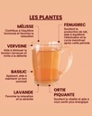 Infusion bio Allaitement